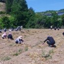 쌍백면사무소 이미지