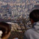 은평나비 이미지