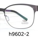 H9602 이미지
