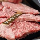 송도 송현아 맛집 센트럴파크 한우집투뿔사위 송도직영점 콜키지프리 솔직후기