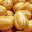 금사농장 이미지