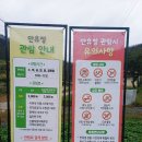 원묵계 계곡 | 안동가을여행 코스 만휴정 재오픈 방문