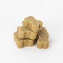 유니온 펫 이미지