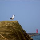 명신초교 이미지