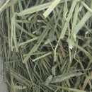 원칸통상 이미지