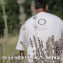 넘버원플라워