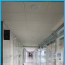 보람동_시드니하트 이미지