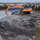 함덕어촌정주어항 이미지