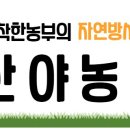 친환경부여농장 이미지