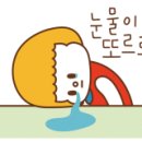 러블리아지 이미지