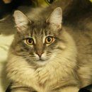 외양농장 이미지