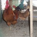 광주조류원 이미지