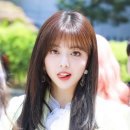 수연 이미지