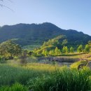 성불산자연휴양림 이미지