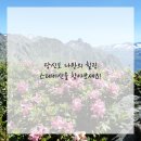 참힐링한의원 네이버블로그