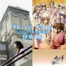 하얀날개 이미지