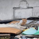 파이널마케팅 | 2024 KOSAC 코삭영상콘텐츠챌린지 파이널리스트 총망라 후기ദ്ദി(☆⸝⸝•̀ᴥ•́⸝⸝)