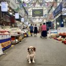 목동깨비시장 이미지