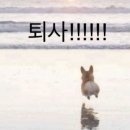 비원(B1) - 수성구 | 비원(B1)