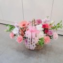 플라데코