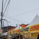 화천 가볼만한곳 로망스투어로 2026년 화천 산천어축제 당일여행 날라리공주가 다녀온 후기입니다
