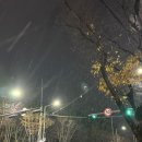 미모아피부과의원 이미지