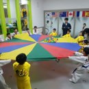 키즈연세태권도장 이미지