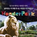 석사경희센텀태권도