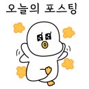 비보스헤어