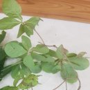 산림조합중앙회임업기계훈련원 이미지