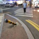 마디미로