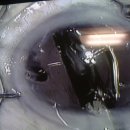 서울성모안과병원 이미지