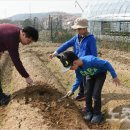 박동호농장 이미지