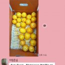 은이네하우스 이미지