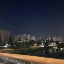 집에가기시른날