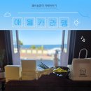 애월뷰 | 끝내주는 오션뷰, 애월카라멜 솔직 후기(카페 아님 주의) 제주 여행 선물 추천