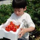 서울 농장 이미지