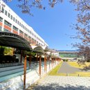 성광여자고등학교 이미지