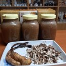 한국의 산삼과 상황버섯 이미지