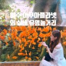 엔젤카케어 | 여수 아쿠아플라넷 아쿠아리움 할인 유명 실내 놀거리 코스