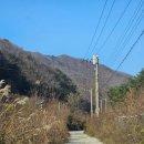 담터오지캠핑장 | (경기 포천) 담터오지캠핑장 4구역 후기 I 샤워실,매점,장박 가격,벌레 등