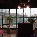 카페에르모사 이미지