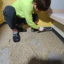 악쓰는하마 이미지