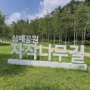 제1317차 2025년 09월16일 (화요일) 덕소 한강변길 이미지