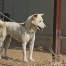 금골농장 이미지