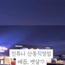 진튜나산동 이미지