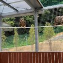 경기도야생동물구조관리센터 이미지