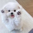 자양고교앞 | 🩵 3월