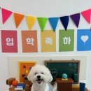 화진소주방 | 23년 5월, 다이어트 끝