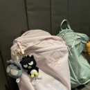 아크테릭스 SS25 헬리아드 15L 핑크 글로우 응모 당첨 후기 , 구매 방법